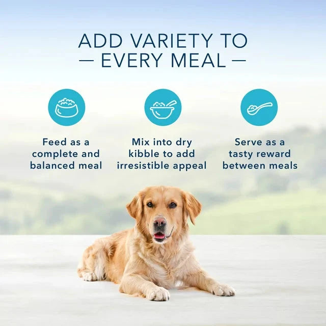 Blue Buffalo Homestyle Recipe Chicken & Beef Pate Wet Dog Food Variety Pack for Adult Dogs, Whole Grain, 12.5 oz. Cans (6 Pack) - Amado Deals - wholesale and distributors with free shipping in United States Blue Buffalo Homestyle Recipe Chicken & Beef Pate Wet Dog Food Variety Pack for Adult Dogs, Whole Grain, 12.5 oz. Cans (6 Pack) - Amado Deals - wholesale and distributors with free shipping in United States